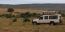 Classic Travel - Gallery - Classic Afryka Safari